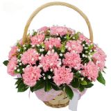 红旗鲜花速递